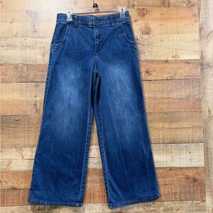 Democracy Wide-Leg Slimming Jeans in Deep Indigo Size 6 Petite